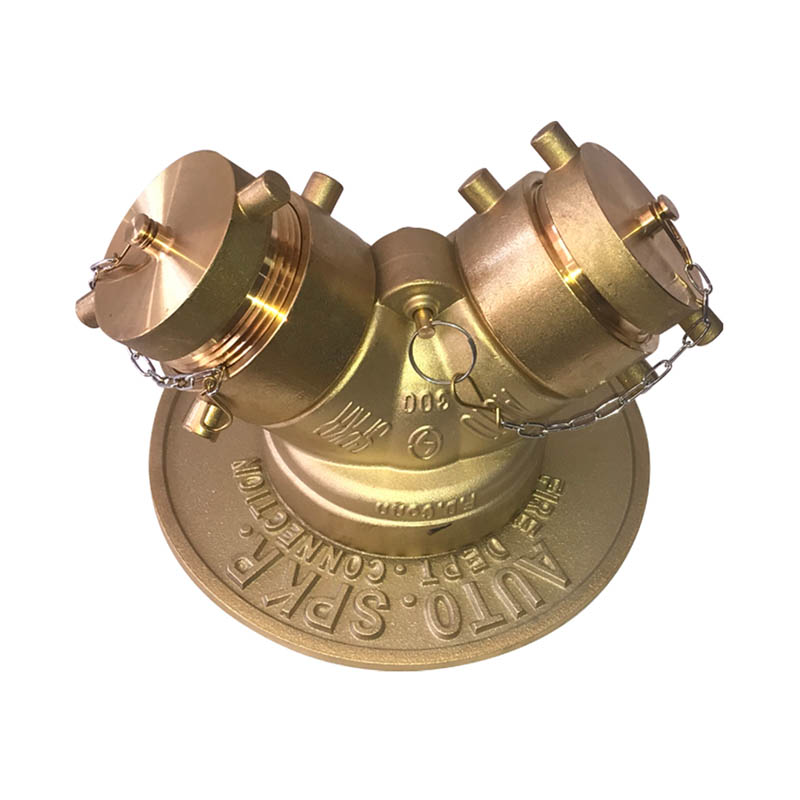 Siamesa Tipo Yee UL-FM