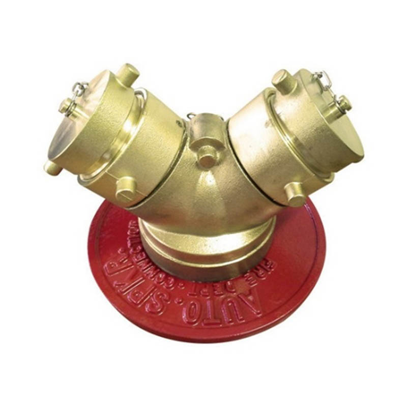 Siamesa Tipo Yee UL-FM2-2